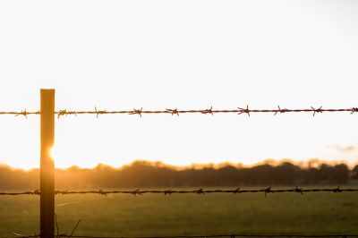 Barbed Wire Fence Installation